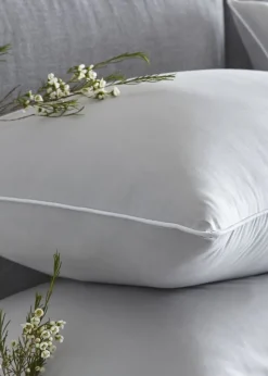 Appletree 200 Thread Count Plain Dye Silver Duvet Cover Set