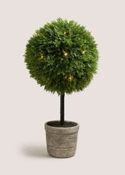 Ball Topiary