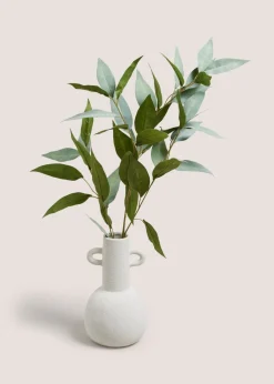 Bamboo Plant In Cream Vase