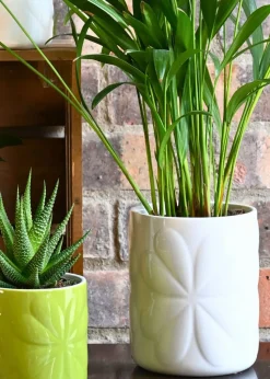 Beau & Elliot Ivory Carnaby Porcelain Embossed Pot Large