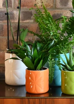 Beau & Elliot Orange Carnaby Porcelain Embossed Pot Small