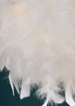 BHS White Plume Feather Ball Pendant Light (112cm x 40cm x 40cm)