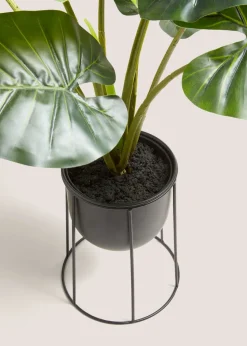 Black Metal Planter