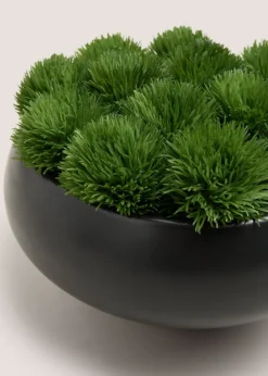 Black Moss Bowl
