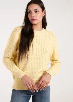 Blue Vanilla Lemon Textured Knit Jumper