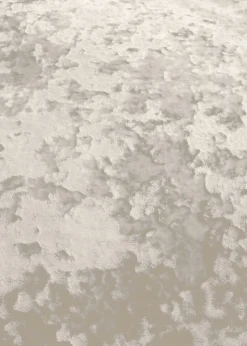 Catherine Lansfield Crushed Velvet Duvet Cover Set