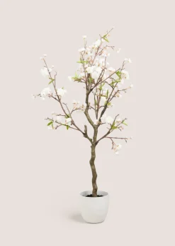 Cherry Blossom Tree