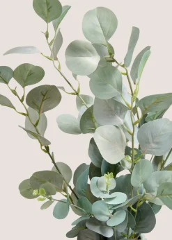 Eucalyptus in Bobble Vase