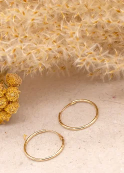 Golden Moments 9ct Yellow Gold Sleeper Hoop Hoops