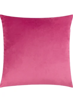 Heya Home Raeya Velvet Filled Cushion (45cm x 45cm x 8cm)