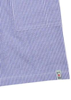 Lilly & Sid Lilly & Sid Blue Stripe Print Shorts(3-8 Years)