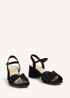 Linzi Ivy Black Suede Block Heel