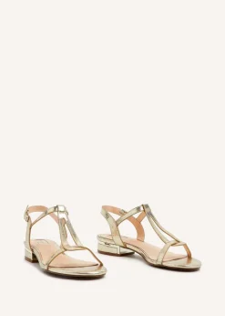 Linzi Lavish Gold Lizard T-Bar Looped Low Block Sandal