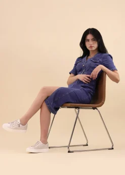 Lunar White Charm Trainer