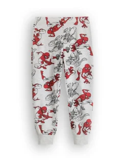 Marvel Boys Grey SpiderMan Long Sleeve Long Leg Pyjama Set (2 - 8 Years)