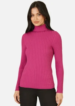 Mela Pink Ribbed Knit Roll Neck Jumper