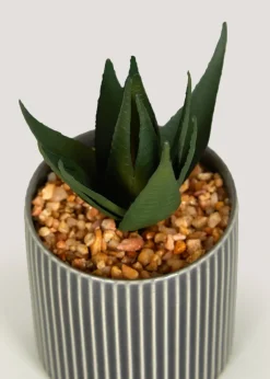 Mini Aloe in Grey Pot