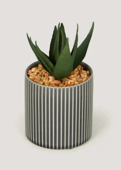 Mini Aloe in Grey Pot