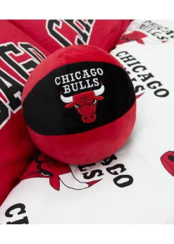 NBA Chicago Shaped Cushion
