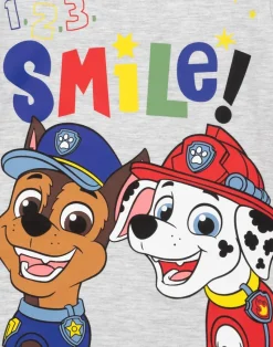 Paw Patrol Boys Grey Short Sleeve Long Leg Pyjama Set (2 - 7 Years)