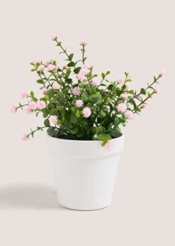 Pink Ditsy Flower In White Pot
