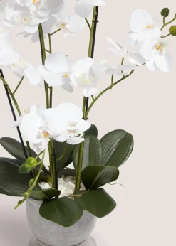 Plastic Orchid In Cement Urn Pot (24cm x 24cm x 76cm)