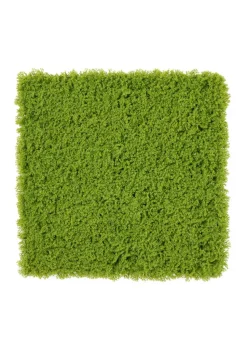 Premier Decorations Artificial Living Wall Moss