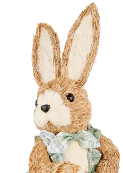 Premier Decorations Ava Rustic Rabbit in Turquoise Dress