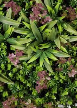 Premier Decorations Blush Romance Artificial Living Wall Panel (50cm x 50cm)