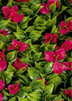 Premier Decorations Bougainvillea Artificial Living Wall Panel (100cm x 100cm)