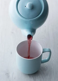 Price & Kensington Pastel Blue 6 cup Teapot