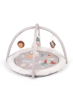 Red Kite Woodland Walks Play Gym