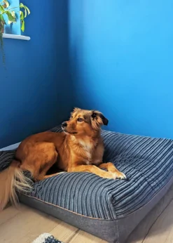 rucomfy Jumbo Cord Flip-It Large Slate Grey Pet Bed