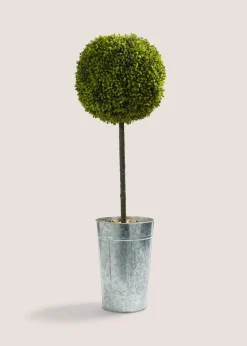 Snail Topiary Plant With Stone
