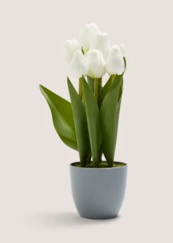 Tulips in Grey Pot