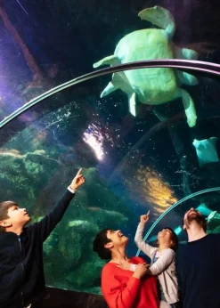 Virgin Experience Days Epic Family Adventure Collection