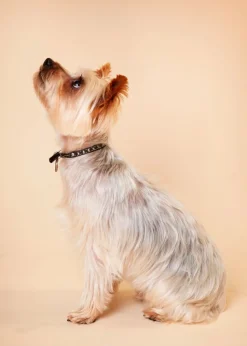 Virgin Experience Days Photoshoot Choice