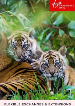 Virgin Experience Days Visit to Chester Zoo for Two
