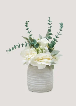 White Trailing Rose Plant