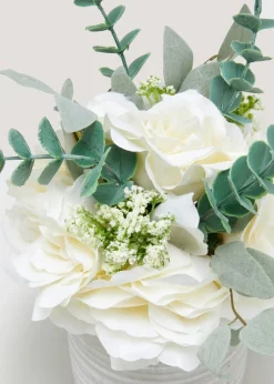 White Trailing Rose Plant