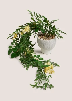 Yellow Floral Trailing Plant In A Pot